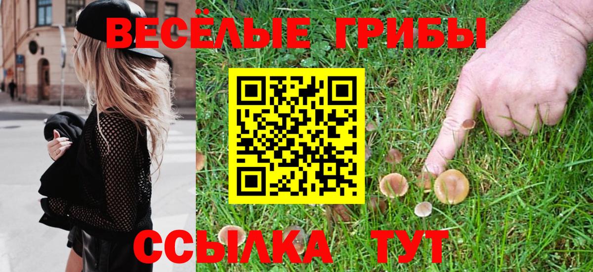 Псилоцибиновые грибы мицелий Рассказово