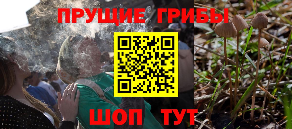 Галлюциногенные грибы Psilocybine cubensis  Вход с VPN  как найти закладки  Рассказово 